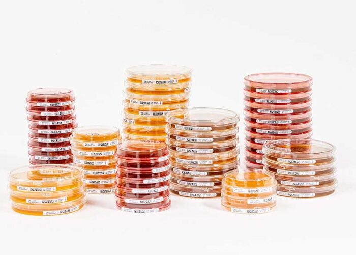 Petri Dishes Growth Promotion