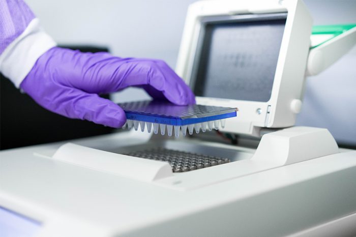 Molecular Controls (PCR)