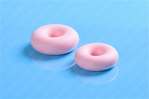 Donut pessary used for a third uterine prolapse as well as cystocele and rectocele